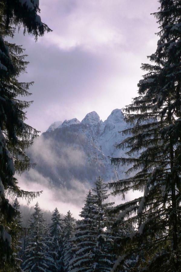 Mountain Loft Villa Tarvisio Buitenkant foto