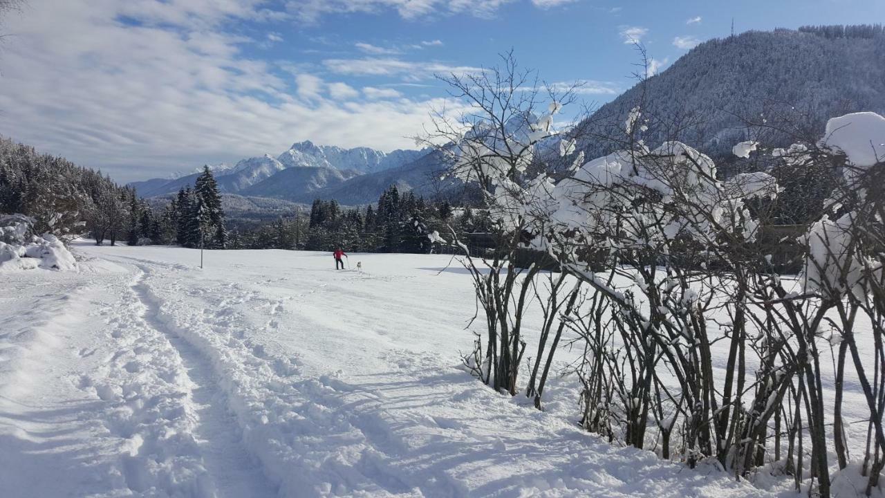 Mountain Loft Villa Tarvisio Buitenkant foto