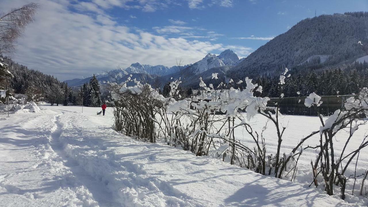 Mountain Loft Villa Tarvisio Buitenkant foto